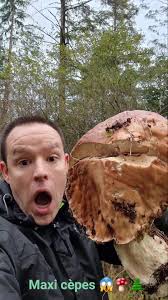 Gros Cèpes : Découverte des Plus Gros Champignons