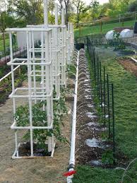 What better way to get some garden therapy for weekend project #43? 32 Diy Tomato Trellis Cage Ideas For Healthy Tomatoes