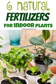 6 Natural Fertilizers For Indoor Plants Creative Homemaking In 2020 Plant Fertilizer Diy Natural Plant Fertilizer Indoor Plants