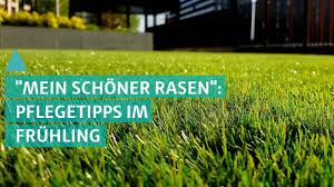 Tipps für den perfekten rasen. Garten Dungen Saen Vertikutieren So Wird Der Rasen Grun Bauen Wohnen Youtube