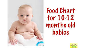Food Chart 10 11 12 Months Old Babies 10 12 Months Baby Food Chart With Timing