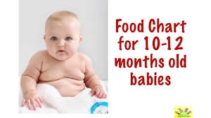 food chart 10 11 12 months old babies 10 12 months baby food chart with timing