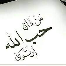 pin on صور رومانسية