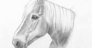 Pin Van Amber Buyle Op Tekenen Dieren Tekenen Paard Tekeningen Tekenen