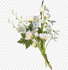 5 out of 5 stars. Flower Bouquet Chess 2017 Clip Art White Small Flowers Png Image With Transparent Background Toppng