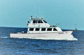 We specialize in trip of all types. Mimi Vi Nj Fishing Home Facebook