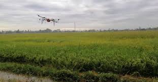Kini penanaman padi di malaysia khususnya di kedah sudah semakin berkembang. Teknologi Dron Bantu Pesawah Di Bendang
