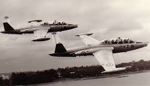 Mais récemment, deux expéditions ont permis de retrouver leur trace en papouasie. Le Fouga Magister 20 Ans Apres Avionslegendaires Net