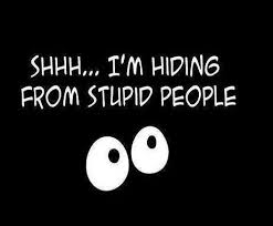 Shhh Im Hiding From Stupid People Stupid People Quotes Dumb People Quotes Stupid Quotes