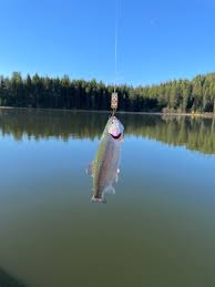 The Real Secret To Trout Fishing Skyaboveus