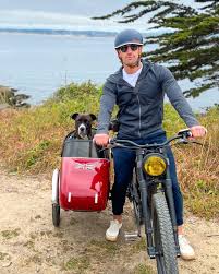 Image result for bicycle sidecar