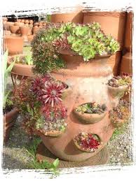 Succulents In Terra Cotta Little Baja Terra Cotta Pottery Terra Cotta Pottery Terracotta Gorgeous Gardens