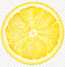 round lemon slice png free png images toppng round lemon slice png free png images