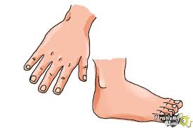 How to draw human body parts. How To Draw Body Parts Drawingnow