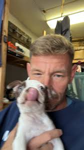 Boston terrier brings joy to owner