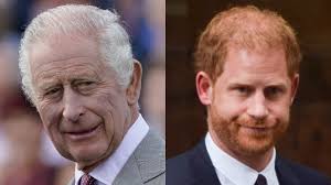 Prince Harry seemingly ‘keen’ to repair damage to relationship with King  Charles