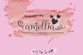 Starting 2010 google logo has been using catull font. Creativefabrica Camellia Ifonts Xyz