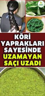 Ulku Adli Kullanicinin Bakim Panosundaki Pin Sac Sac Uzatma Saglik