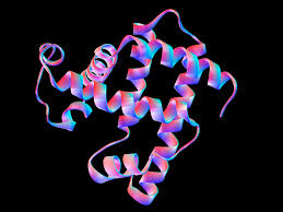 Maybe you would like to learn more about one of these? Life S First Molecule Was Protein Not Rna New Model Suggests Scientific American