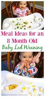 Baby Led Weaning Meal Ideas 8 Months Old Baby Led Weaning Recipes 8 Month Old Baby Food Baby Food 8 Months
