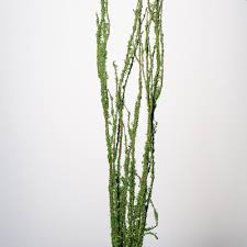 Tall dresser white & natural branch ball stems. Tree Branches Save On Crafts