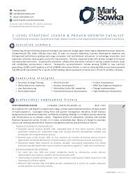 award winning resume for mark sowka