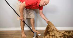 (0.00 / 0 votes) beard the lion in his den: Unter Den Teppich Kehren