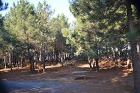 Göztepe metro i̇stasyonu, i̇stanbul metrosunun m4 hattında bulunan bir metro istasyonudur. Goztepe Mesire Yeri Istanbul Mesire Yerleri Istanbul Net Tr Istanbul Rehberi Istanbul Sehir Rehberi