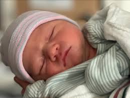 Josh McDaniel (@bigcavalier74) • Instagram photos and videos