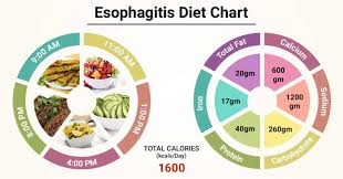 Diet Chart For Esophagitis Patient Esophagitis Diet Chart