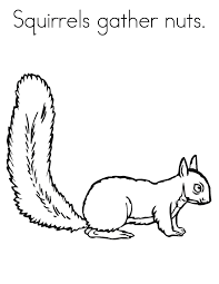 Free printable cute squirrel with acorn coloring page (pdf format) to download and print. Free Printable Squirrel Coloring Pages For Kids
