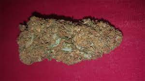 Panama Red Marijuana Strain Information Leafly
