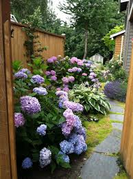 Maybe you would like to learn more about one of these? 75 Beautiful Decomposed Granite Landscaping Pictures Ideas July 2021 Houzz