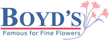 3236 kirkwood hwy, wilmington de 19808. Wilmington De Florist Flower Shop Same Day Delivery Boyd S Flowers