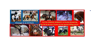 5 things it's okay to do when selling your horse why charles ancona apparel is totally worth it Petition Stop Global Horse Abuse By Fei Spanish Riding School By Addressing The Olympic Sponsors Change Org