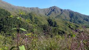 Anny alves porno that one is petite, slim, pleasant locks,