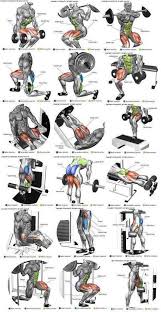 This is a table of skeletal muscles of the human anatomy. Full Body Workout Shoulder Workout Leg Workouts Gym Workout Names