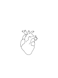Maybe you would like to learn more about one of these? Pin By Esnoufchloe On Infatuated Cover Design Anatomical Heart Drawing Heart Drawing Anatomical Heart Tattoo