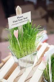 I tried it for myself to find out. 45 Wheatgrass Crafts Ideas Wheat Grass Grass Grass Centerpiece