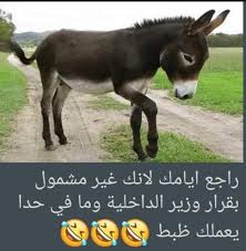 pin by abomohammad on صور وملصقات منوعة novelty sign novelty decor