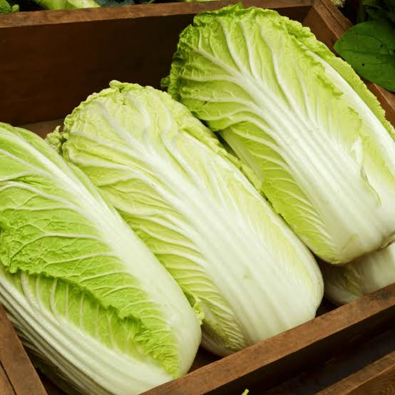 How To Grow Chinese Cabbage | Grow To Eat : The Gardener
