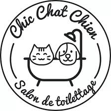Chat with random people all over the world instantly. Chic Chat Chien Home Facebook