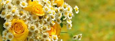 California street, stockton, ca 95202. Valley Funeral Home Stockton Stockton Ca Funeral Home And Cremation I Free Urn With Full Cremation