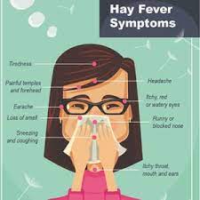 What Do I Do Against Hay Fever Travelpharm Health Guidestravelpharm