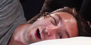 Unless you are sleeping on the basement floor, a spider might wander onto your bed as often as twice a year. Do Spiders Crawl Into Your Mouth While You Are Sleeping