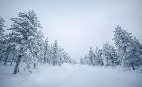 Der winter ist die längste saison in finnland. Kalterekord In Finnland Fur Diesen Winter Gebrochen Nordisch Info