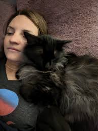 Lost black cat in Gastonia NC area