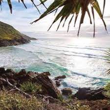 Hat Head Markets Home Facebook