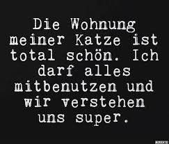 Wer in ein neues zuhause zieht, der freut sich ganz sicher über eine grußkarte mit ein paar warmen worten oder auch über eine textnachricht auf twitter oder whatsapp, per mail oder einfach in einem brief. Die Wohnung Meiner Katze Ist Total Schon Lustige Bilder Spruche Witze Echt Lustig