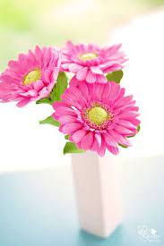 Dk Designs Pink Gerbera Daisies On This Stormy Day Pink Gerbera Gerbera Daisy Beautiful Flowers Images